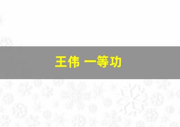 王伟 一等功